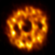 Image for article titled This Star Is Surrounded By Swarms Of Pluto-Like Objects